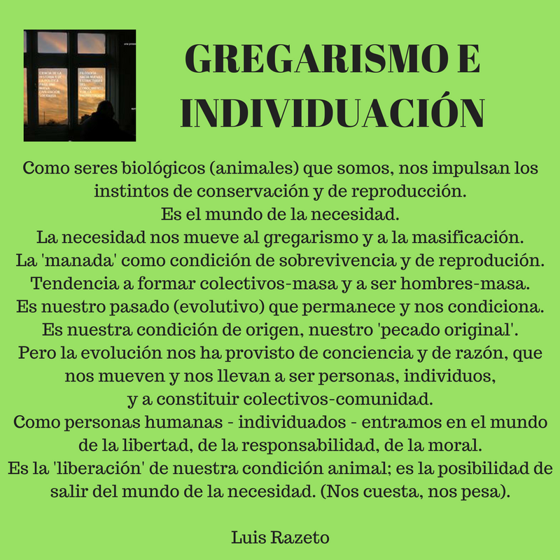 Gregarismo y masificación