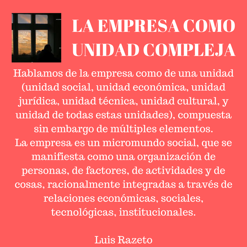 La empresa como unidad compleja