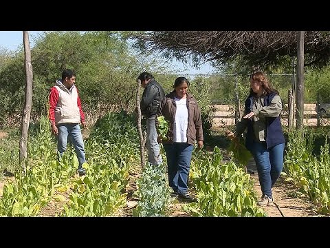 trabajo en pueblos originarios