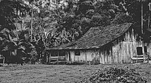 La casa de David Thoreau