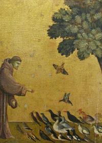 SAN FRANCISCO - Giotto di Bondone