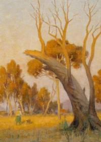 Charles Arthur Wheeler